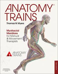 Anatomy Trains 3rd Edition